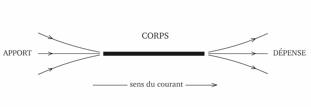 Comment de créent les corps dans l'univers