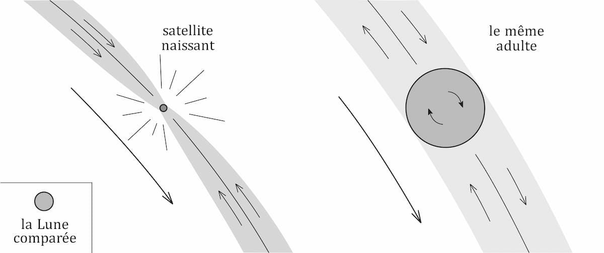 19 – Dimensions extrêmes du satellite