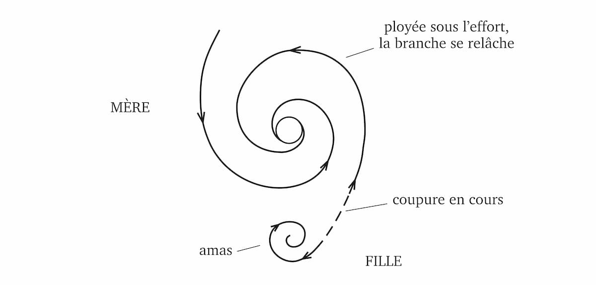 33 – Naissance d'une galaxie