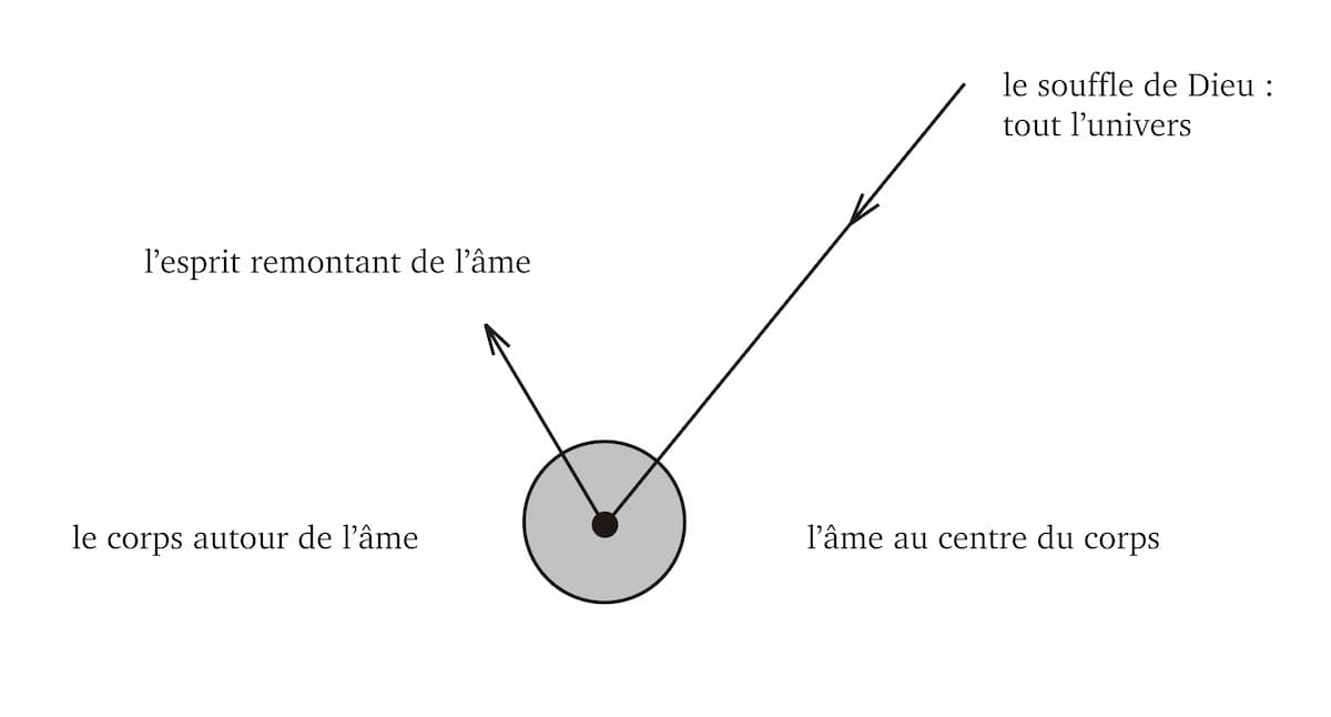 2 - Aspect de l'être humain