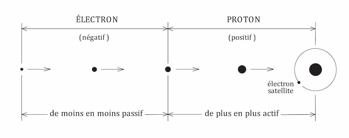 Naissance et évolution de la particule